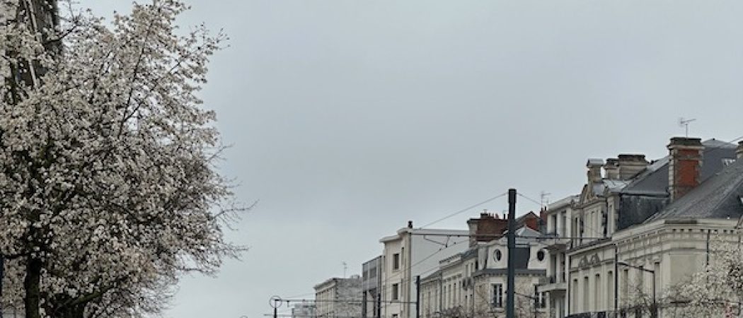 Angers : la mobilisation est en baisse