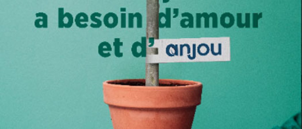 Anjou : le département va planter un arbre dans chaque collège